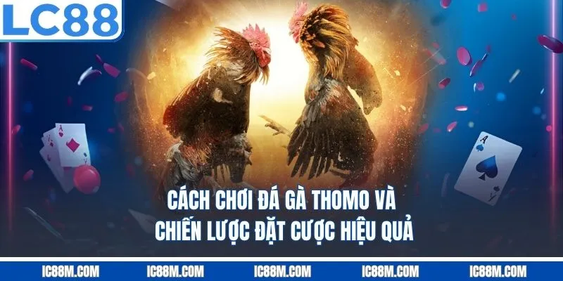 Cách chơi Đá Gà Thomo và chiến lược đặt cược hiệu quả