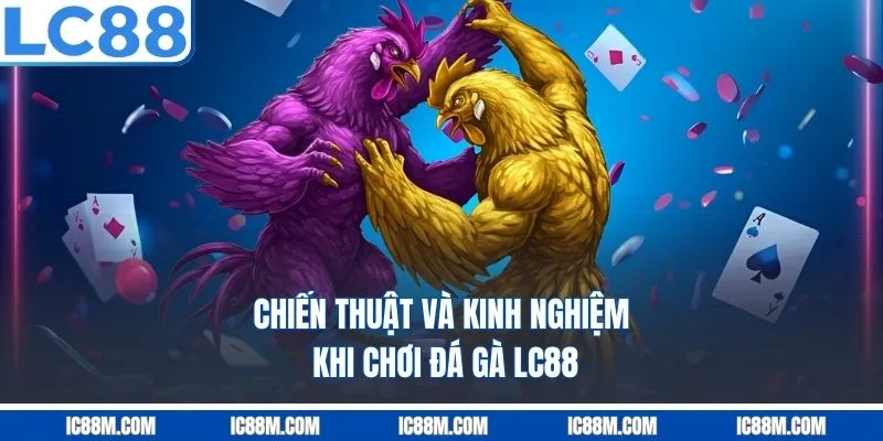 Chiến Thuật Và Kinh Nghiệm Khi Chơi Đá Gà LC88