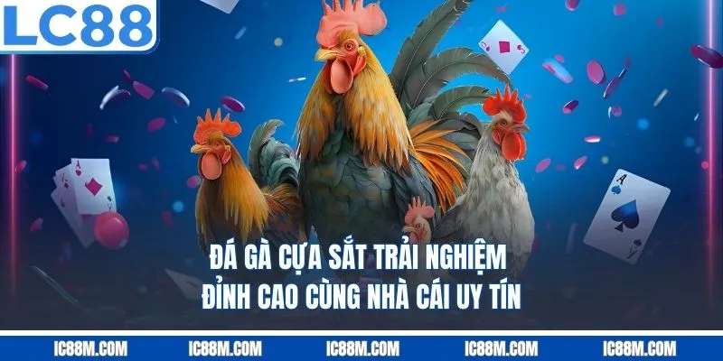 Đá Gà Cựa Sắt – Trải Nghiệm Đỉnh Cao Cùng Nhà Cái Uy Tín