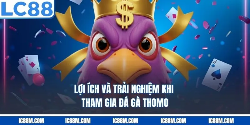 Lợi ích và trải nghiệm khi tham gia Đá Gà Thomo